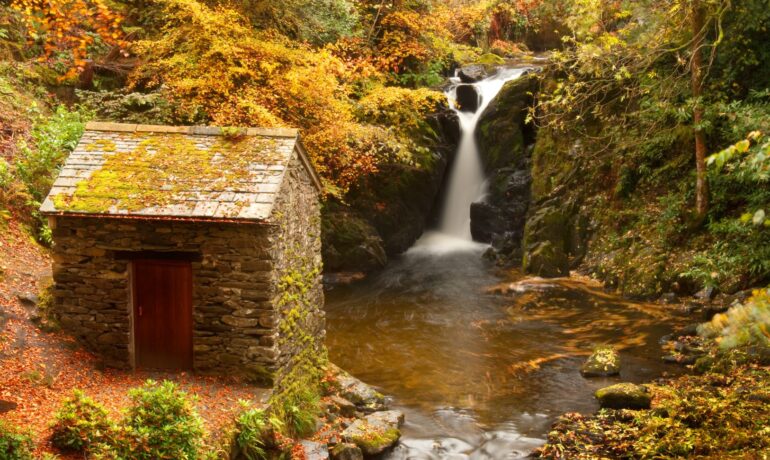 The Grotto At Rydal