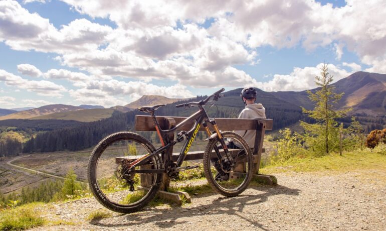 Whinlatter Forest Park